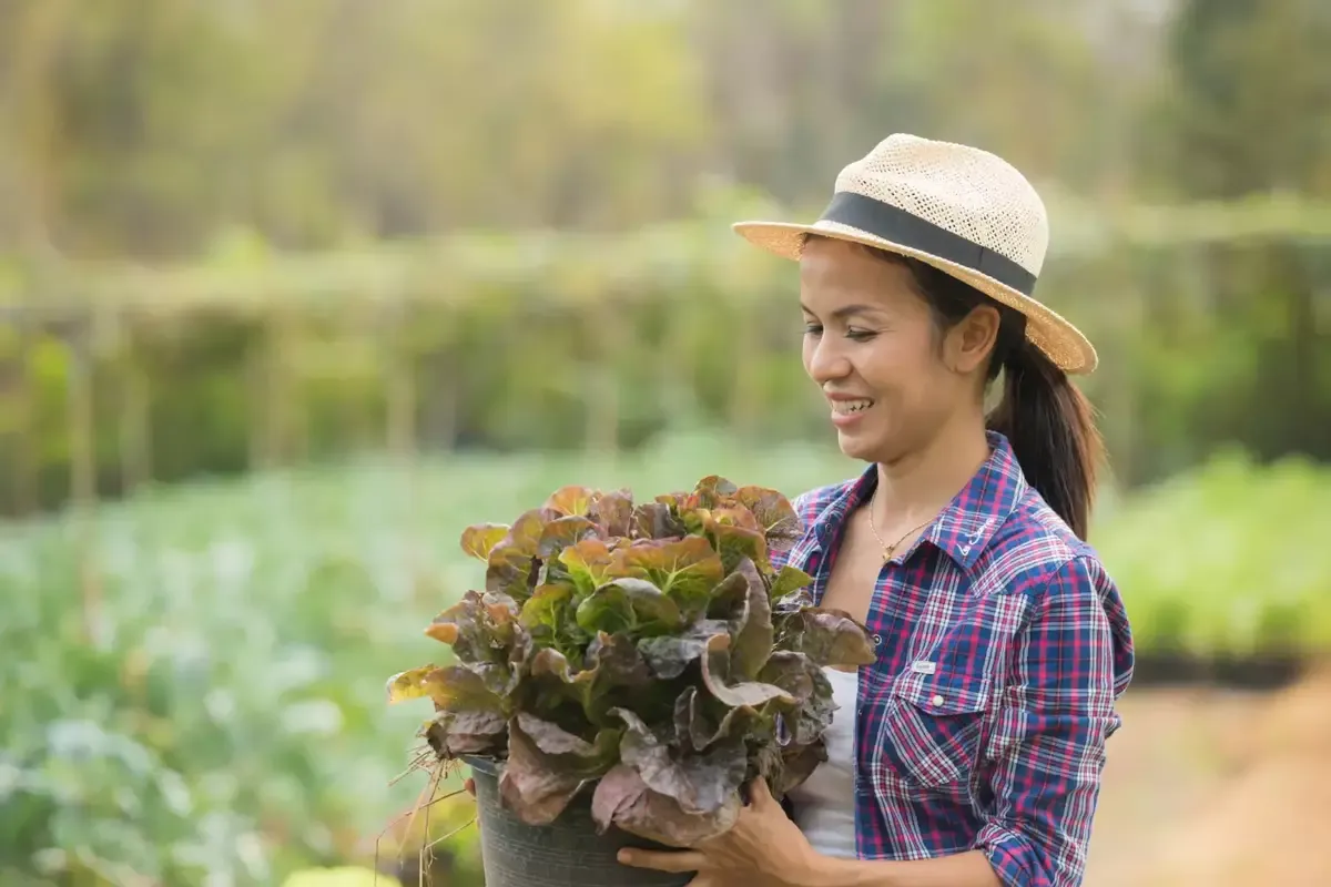 muncitor-din-asia-agricultura